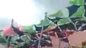 El festival terminó en tragedia, /Foto Especial