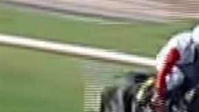 Un caballo mordió a otro durante una carrera en el hipódromo
