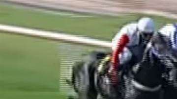 Un caballo mordió a otro durante una carrera en el hipódromo