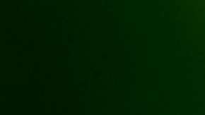 Además de la Enfermedad de Lyme, las garrapatas pueden transmitir otras.