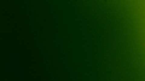 Además de la Enfermedad de Lyme, las garrapatas pueden transmitir otras.