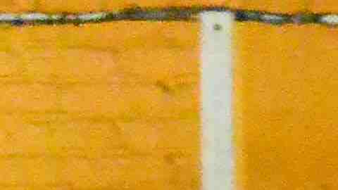 Copa La Raza una de las ligas de más rápido crecimiento en Chicago, e impulsora del futbol infantil. (Javier Quiroz / La Raza)