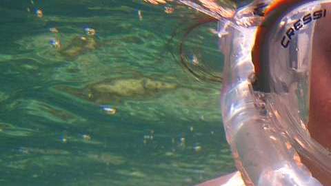 Respirar bajo el agua sin apoyo de artefactos sería posible.