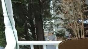 Una empleada siguió las órdenes del cliente y le costó su trabajo.