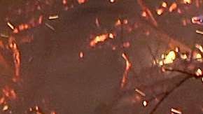 De acuerdo con el Centro Interagencial Nacional de Incendios. en lo que va del año, casi 58,000 incendios forestales han quemado más de 9 millones de acres en los EEUU.