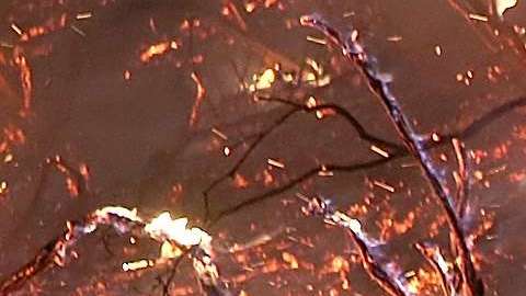 De acuerdo con el Centro Interagencial Nacional de Incendios. en lo que va del año, casi 58,000 incendios forestales han quemado más de 9 millones de acres en los EEUU.