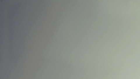 Los ciberladrones pueden hacerse hacerse con sus datos de identidad y hacerse pasar por usted para cobrar su reembolso de impuestos./Shutterstock