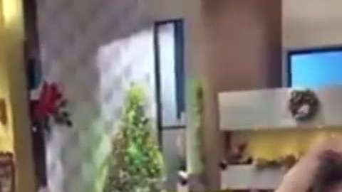 Así fue el recibimiento que recibió Paul Stanley de Galilea Montijo