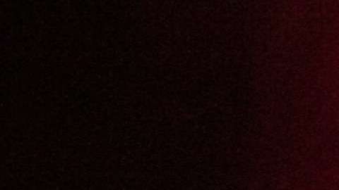 A Trump y todo su equipo le ofrecieron acceso a los documentos pirateados de Wikileaks