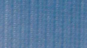 Pamela Anderson dice que en Hollywood todos deberían utilizar el sentido común.