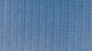 Pamela Anderson dice que en Hollywood todos deberían utilizar el sentido común.