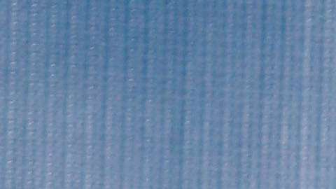 Pamela Anderson dice que en Hollywood todos deberían utilizar el sentido común.