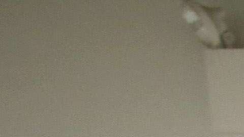 Director de USCIS quiere acabar, al igual que Trump, con la inmigración en cadena