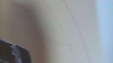 Los residentes permanentes deben respetar las leyes estadounidenses.