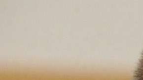 El director de ICE, Thomas Homan.