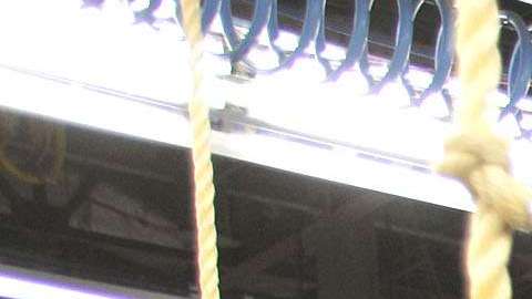 La planta Flat Rock sería la que tendría cambios en producción.