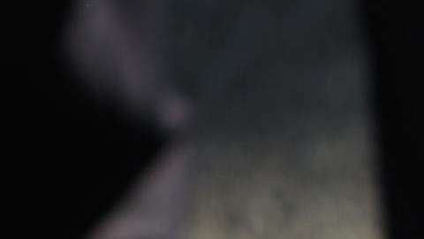 Pilotos alemanes se niegan a participar de la deportaciones de inmigrantes y refugiados