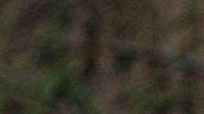 Se publicó el informe de la Comisión Nacional de Derechos Humanos de México