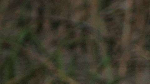 Se publicó el informe de la Comisión Nacional de Derechos Humanos de México