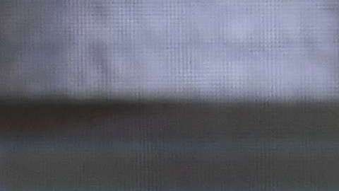 Sheriff del condado de Dallas, Lupe Valdez se lanza a la gobernación de Texas para defender a inmigrantes