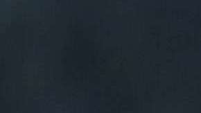 Summer Zervos denunció que Trump la agarró y la besó a la fuerza en 2007