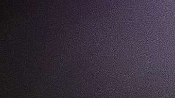 Procrearse solo con miembros de la raza blanca es su objetivo