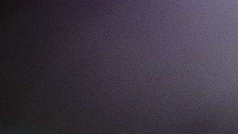 Procrearse solo con miembros de la raza blanca es su objetivo