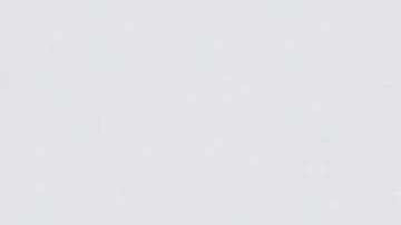 Donald Trump hasta ahora ha tenido varios reveses en tribunales y en leyes locales contra sus medidas anti santuario (Foto: archivo)