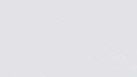 Donald Trump hasta ahora ha tenido varios reveses en tribunales y en leyes locales contra sus medidas anti santuario (Foto: archivo)