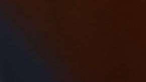 La relación de Ivanka y Bannon en la Casa Blanca no fue cercana.