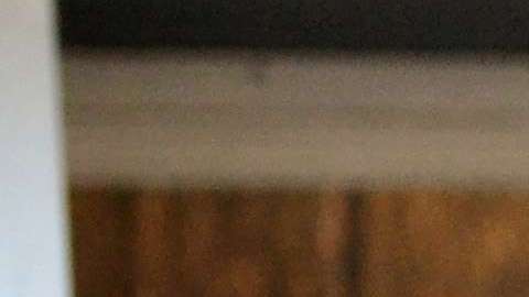 Demandan al gobierno federal por que ICE entra a las casas de los indocumentados sin orden judicial o orden de arresto