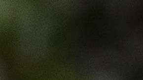 El presidente Trump quiso distanciarse de Roy Moore.