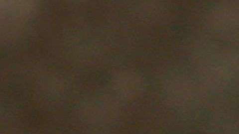 Una estación de tren llevará el nombre del presidente Trump.