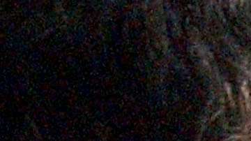 Portadores de la visa L-1B no tendrán renovación automática