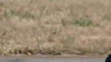 Shakira y Piqué siguen en el ojo del huracán.