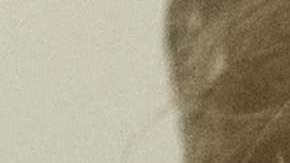 Trump siempre negó algún contacto directo con Rusia