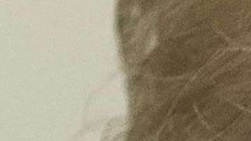 Trump siempre negó algún contacto directo con Rusia