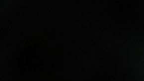 Ivanka parece no tener la influencia que se pensaba en la Casa Blanca,