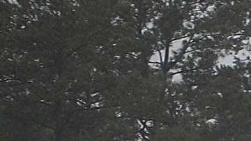 El Congreso busca destinar recursos a ciudades dañadas por tormentas.