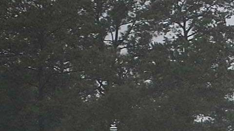 El Congreso busca destinar recursos a ciudades dañadas por tormentas.