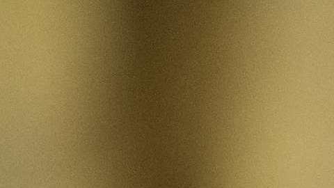 Melania ha ordenado retirar una magnolia histórica que decora la fachada de la Casa Blanca desde 1800