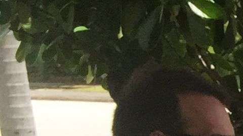 La mayoría de los cubanos se concentra en Florida.