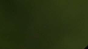 La pareja Trump-Kushner sigue causando problemas para la Casa Blanca