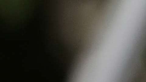 President Trump Departs White House For Florida