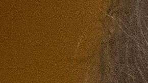 El presidente Trump publicó tuits contra el FBI.