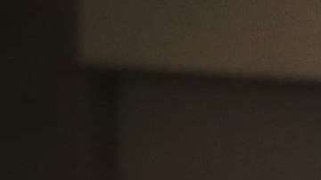 Moore es apoyado por el presidente Trump.