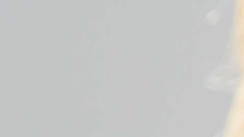 Asistentes a la reunión dieron a conocer los comentarios de Trump al NYT