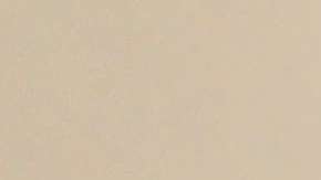 La visita de Trump a Inglaterra está suspendida.