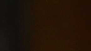 Nielsen tomará las riendas del DHS.