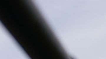 El gobierno de Trump, el "más activista" contra inmigrantes, según centro de estudios de DC (Archivo)